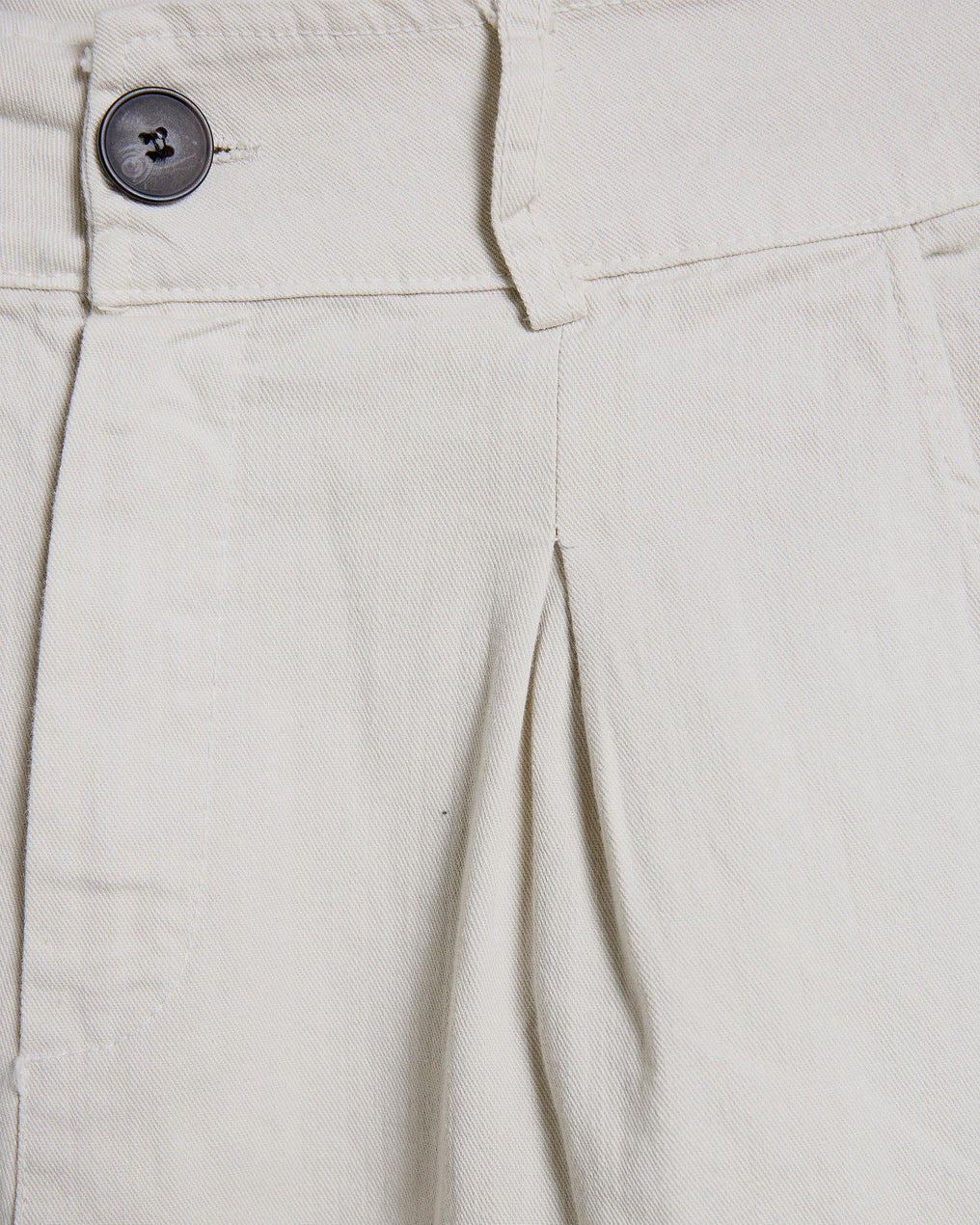 Beige Long Pleated Trousers