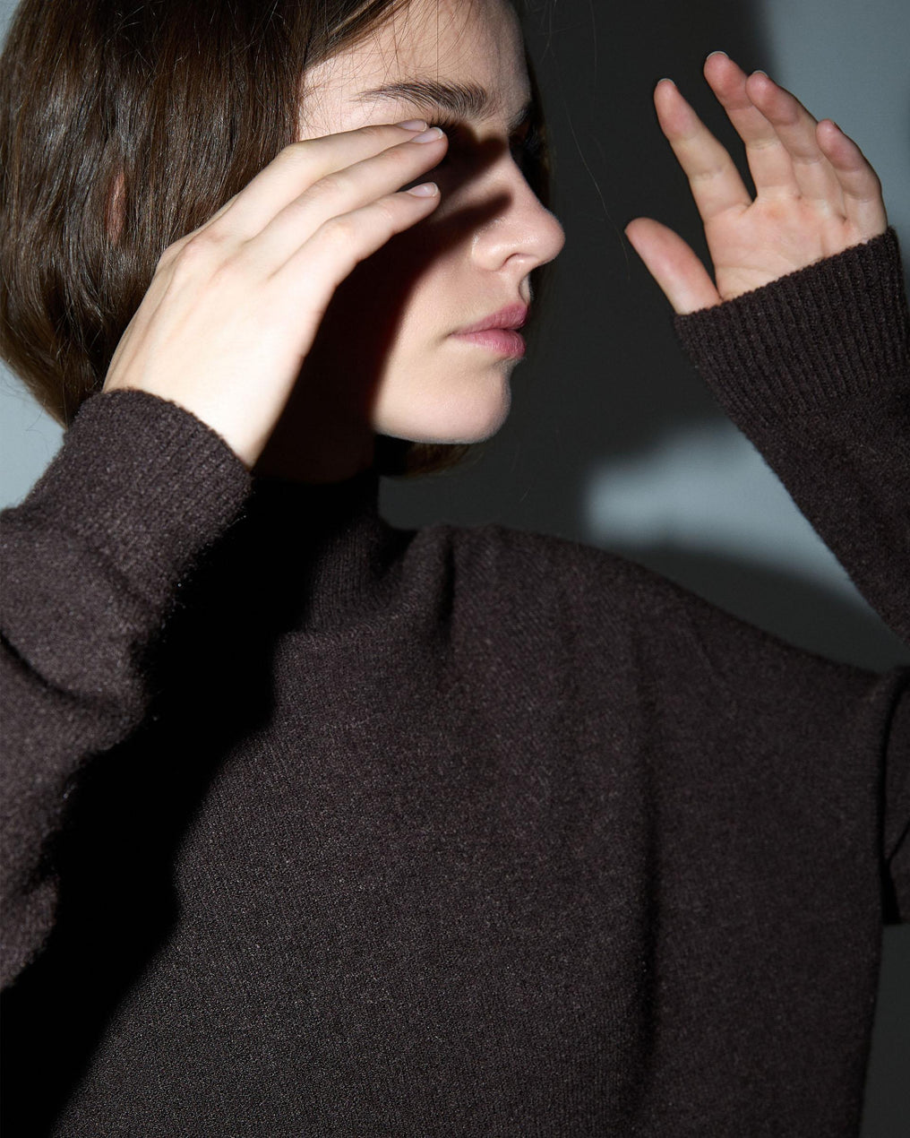 Brown Turtleneck Sweater