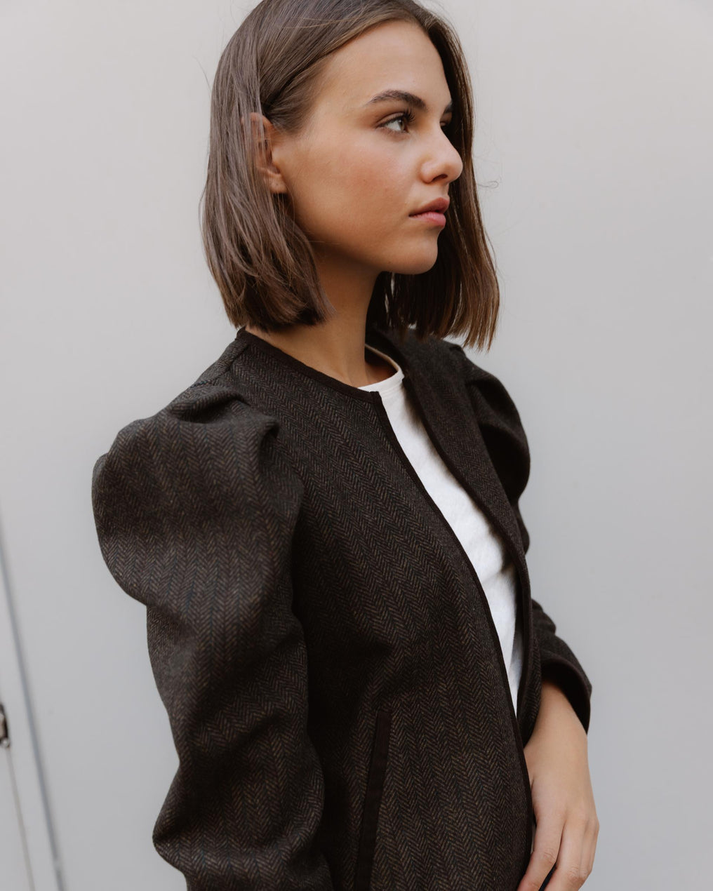 Chaqueta Manga Abullonada Espiga Marrón